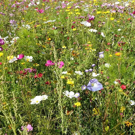 Griesser Penzion Kaprun