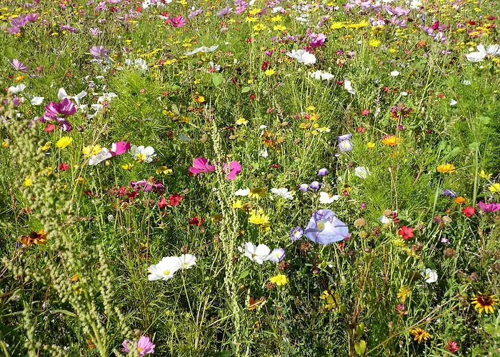 Griesser Pensjonat Kaprun